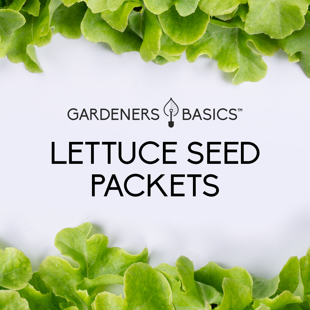 Lettuce Seeds for Planting: Grow a Variety of Fresh and Crunchy Greens – Gardeners Basics