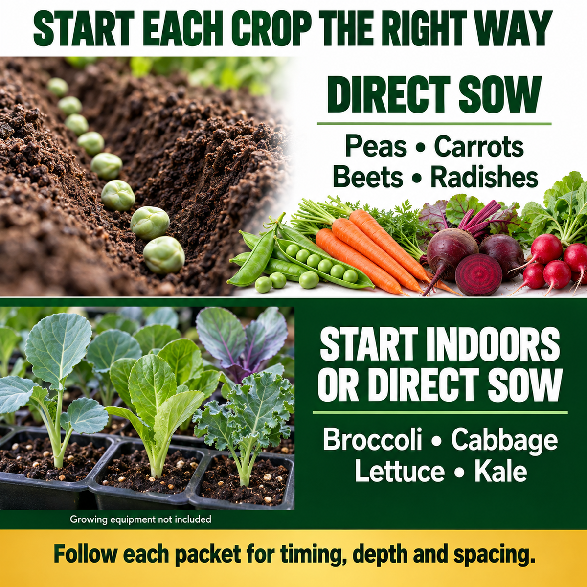 Direct sow peas, carrots, beets and radishes; start broccoli, cabbage, lettuce and kale indoors or direct sow