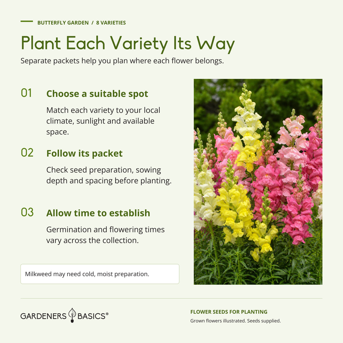 Three planting steps: choose a suitable spot, follow each seed packet, and allow time for establishment.