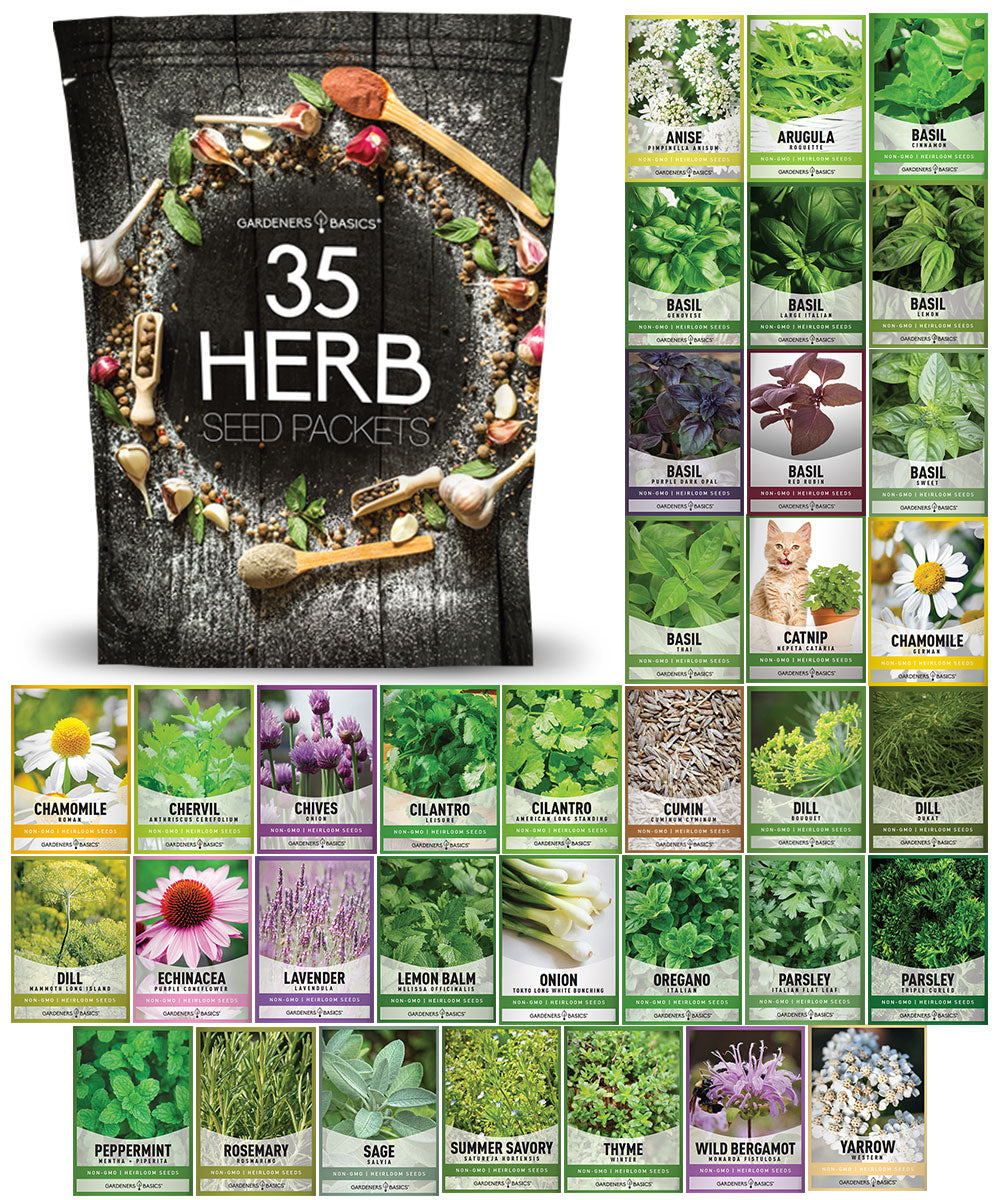 Gardeners Basics 35 herb seeds for planting variety pack in a black resealable bag