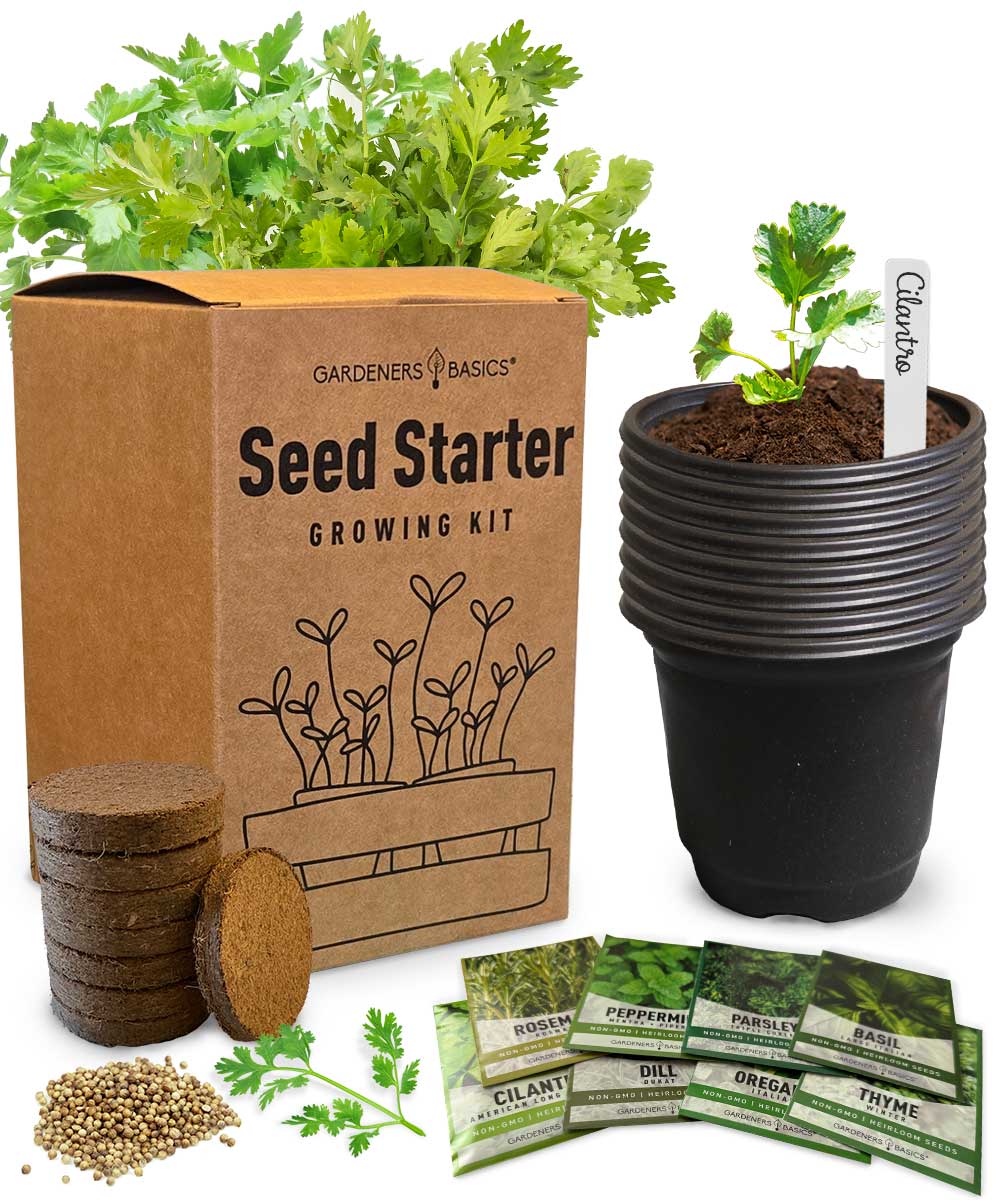 Indoor Herb Garden Kit – Grow Fresh Herbs for Cooking & Tea