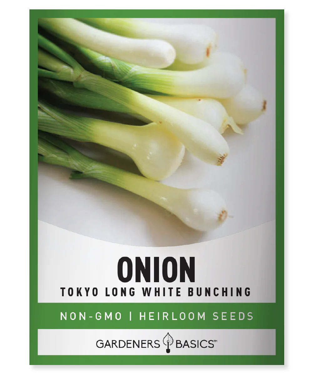 Green Onion Garden Kit – Homegrown Scallions for Salads, Soups & Stir-Fries