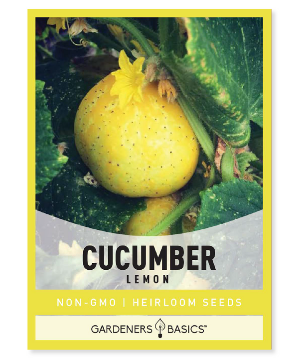 Lemon Cucumber Seeds