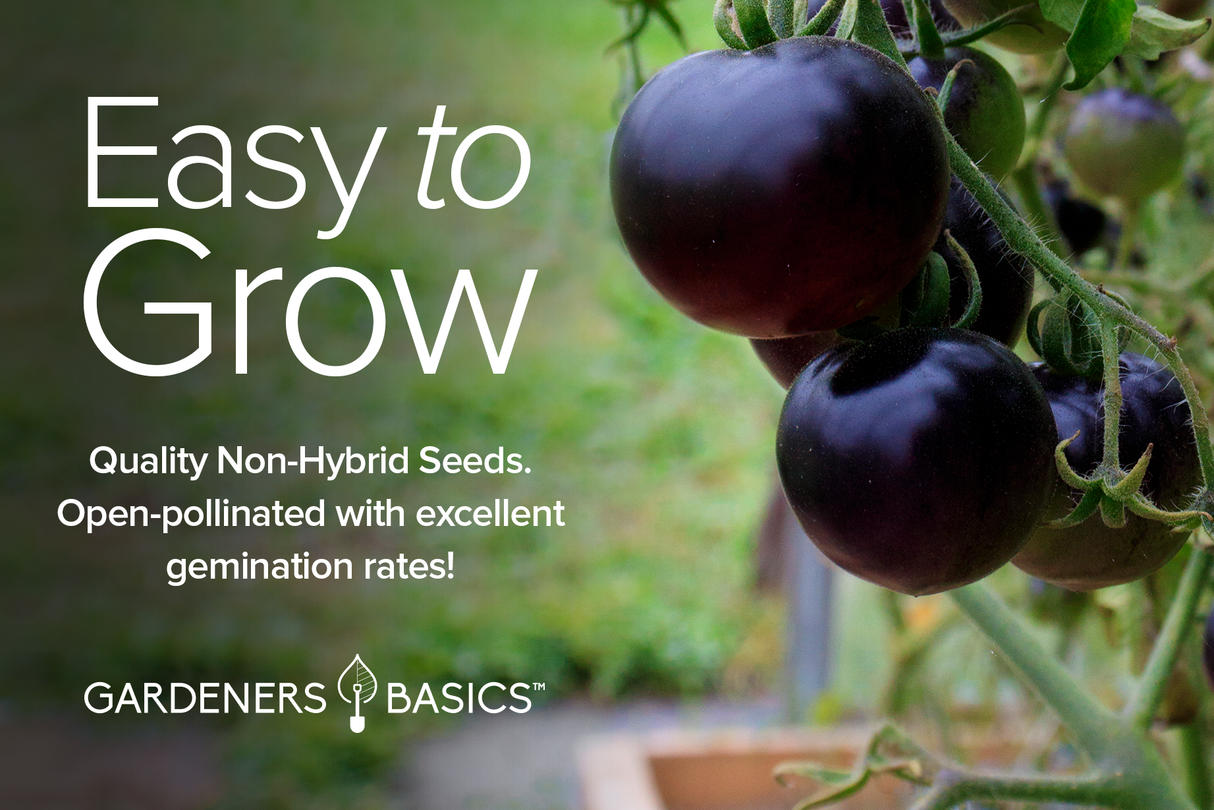 Grow Your Own Caprese Salad: Heirloom Tomatoes Pack with 5 Different Varieties