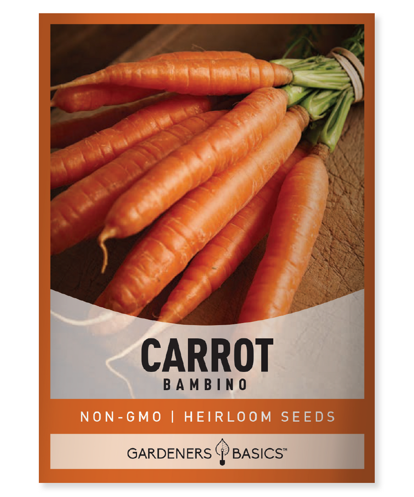Bambino Carrot Seeds Mini Carrots Carrot Seeds for Planting Container Gardening Home Garden Organic Seeds Non-GMO Carrot Seeds Vegetable Seeds Heirloom Carrots Bambino Carrots Small Space Gardening Easy-to-Grow Carrots Carrot Variety