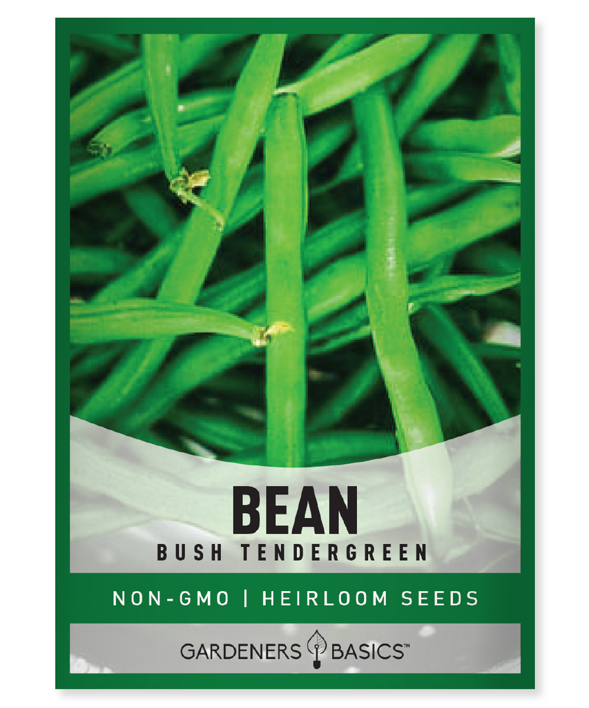Bush Tendergreen Bean Seeds For Planting Non-GMO Seeds For Home Vegetable Garden