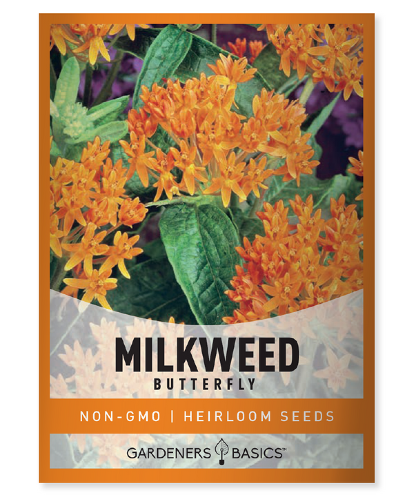 Butterfly Milkweed Seeds