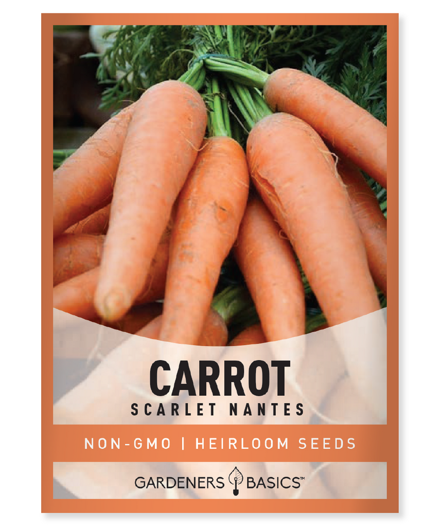 Scarlet Nantes Carrot Seeds For Planting Non-GMO Seeds For Home Vegetable Garden