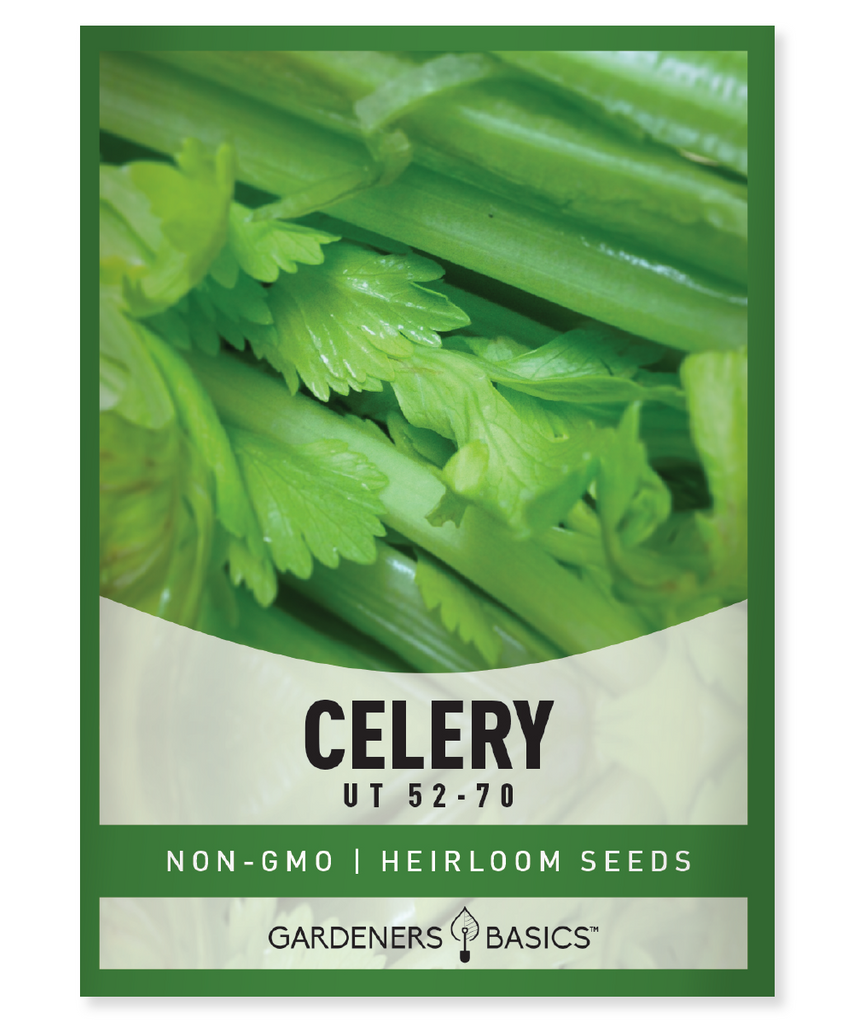 Utah 52-70 Celery Seeds, celery seeds for planting, high germination rate, disease resistance, crisp celery, nutrient-rich celery, home gardening, celery planting, celery variety, grow your own celery, celery seed packets, eco-friendly packaging, customer support