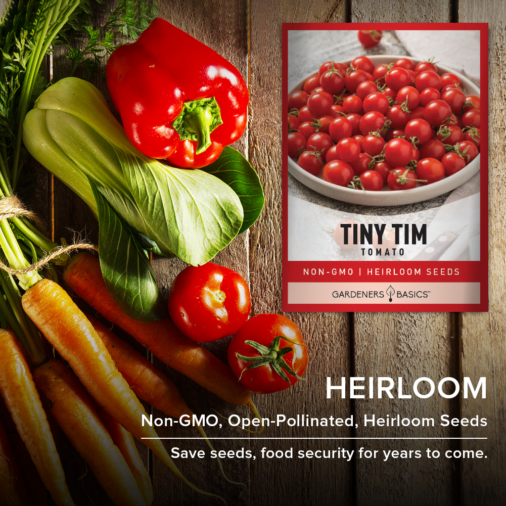 Compact Gardening Made Simple with Tiny Tim Tomato Seeds