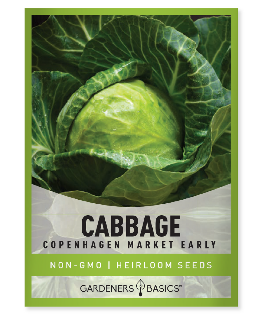 Early Copenhagen Market Cabbage Cabbage Seeds for Planting Heirloom Cabbage Variety Homegrown Cabbage Early Maturing Cabbage Compact Cabbage Heads Disease-Resistant Cabbage Nutritious Cabbage Non-GMO Cabbage Seeds Cabbage Gardening Tips