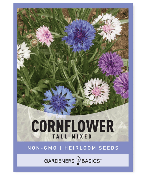 Cornflower (Bachelor Button) Tall Mixed Seeds