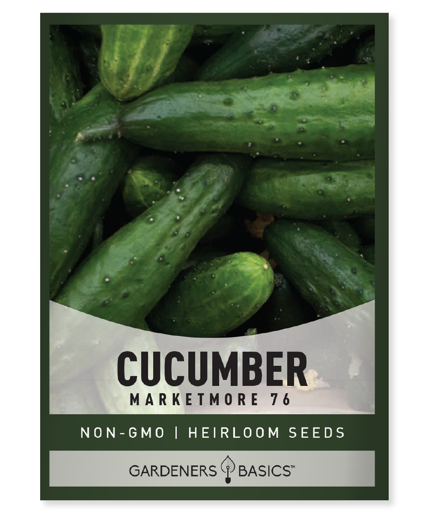 Marketmore 76 Cucumber Seeds High-Yielding Cucumbers Cucumber Seeds for Planting Non-Bitter Cucumbers Easy-to-Grow Cucumbers Disease Resistant Cucumbers Home Garden Cucumber Varieties Cucumber Seeds Online Garden Fresh Cucumbers Heirloom Cucumber Seeds Organic Cucumber Seeds Sustainable Gardening Companion Planting