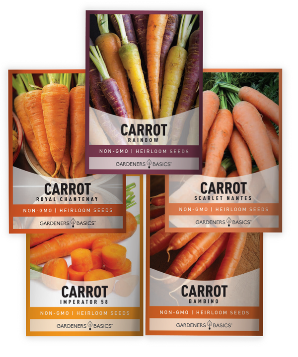 Carrot Seeds For Planting | 5 Variety Pack