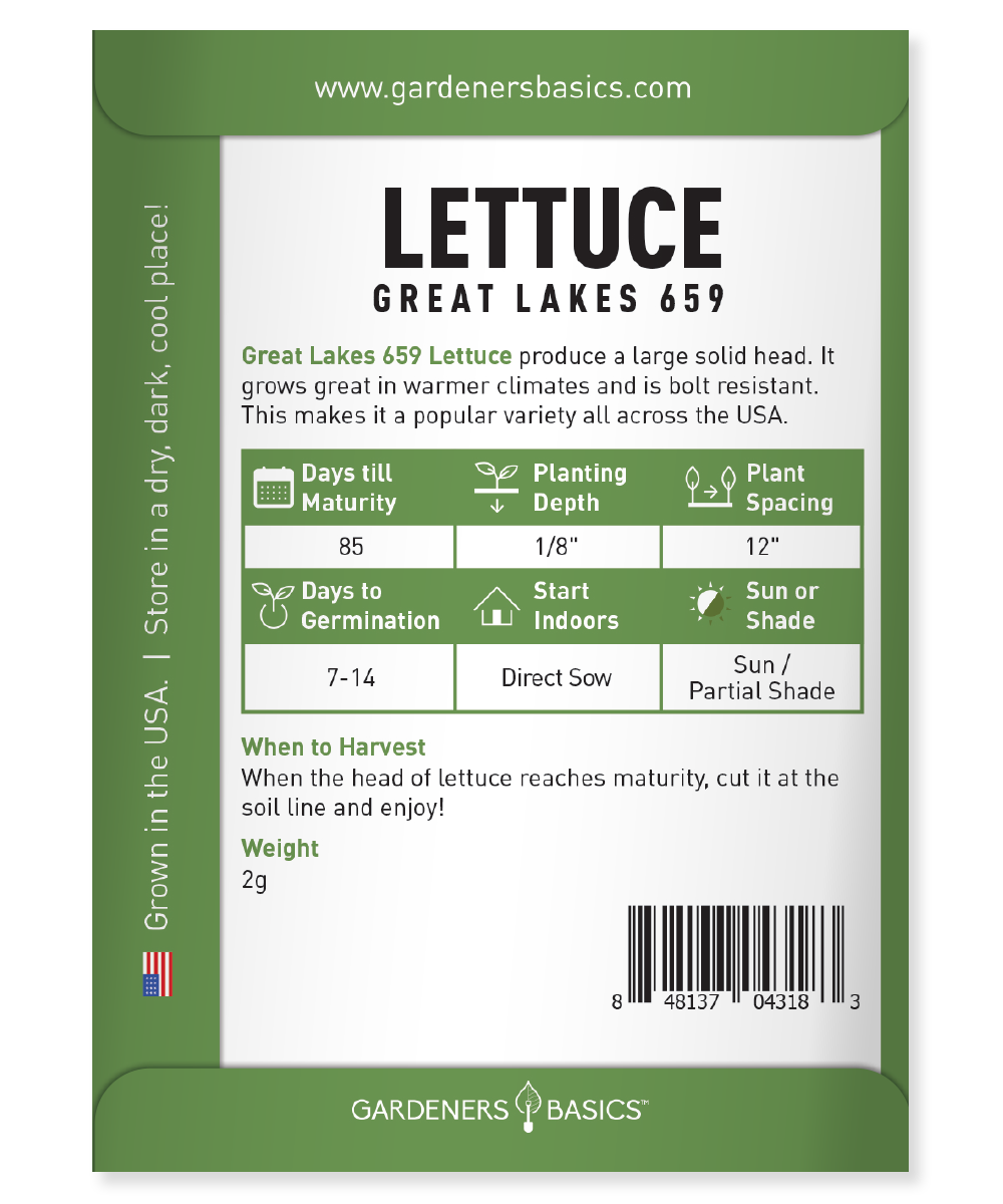 Great Lakes 659: Easy-to-Grow Lettuce Seeds for Planting Success