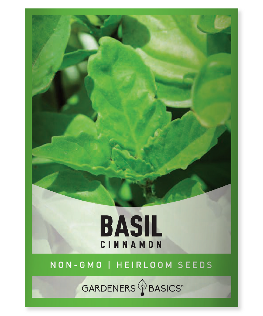 cinnamon basil seeds, germination, growing basil, harvesting basil, herb garden, grow your own herbs, aromatic basil, unique basil varieties, culinary herbs, gardening tips