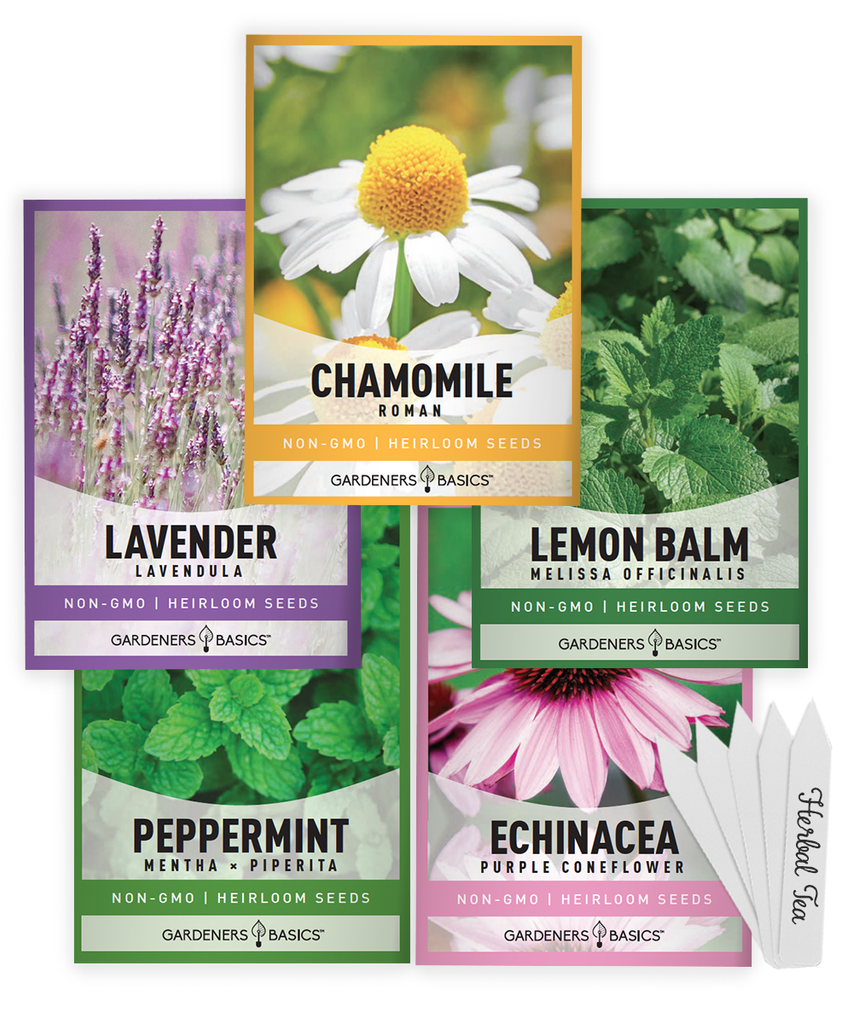 outdoor flowers flower perennials live lavander camomile camomille lavanda sets wiccan peppermint plant peppermint seeds for planting lemon balm seeds lemonbalm lavender seeds for planting indoors mint seeds for planting indoors herb seeds variety 