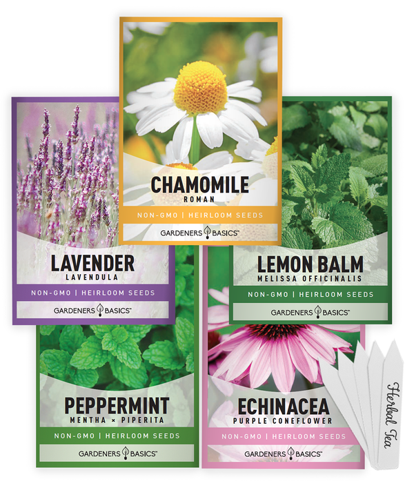Herbal Tea Seeds For Planting | 5 Variety Pack