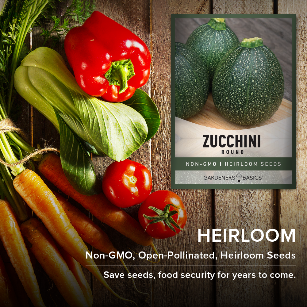 Grow Your Own Delectable Round Zucchinis with Our Exceptional Seeds