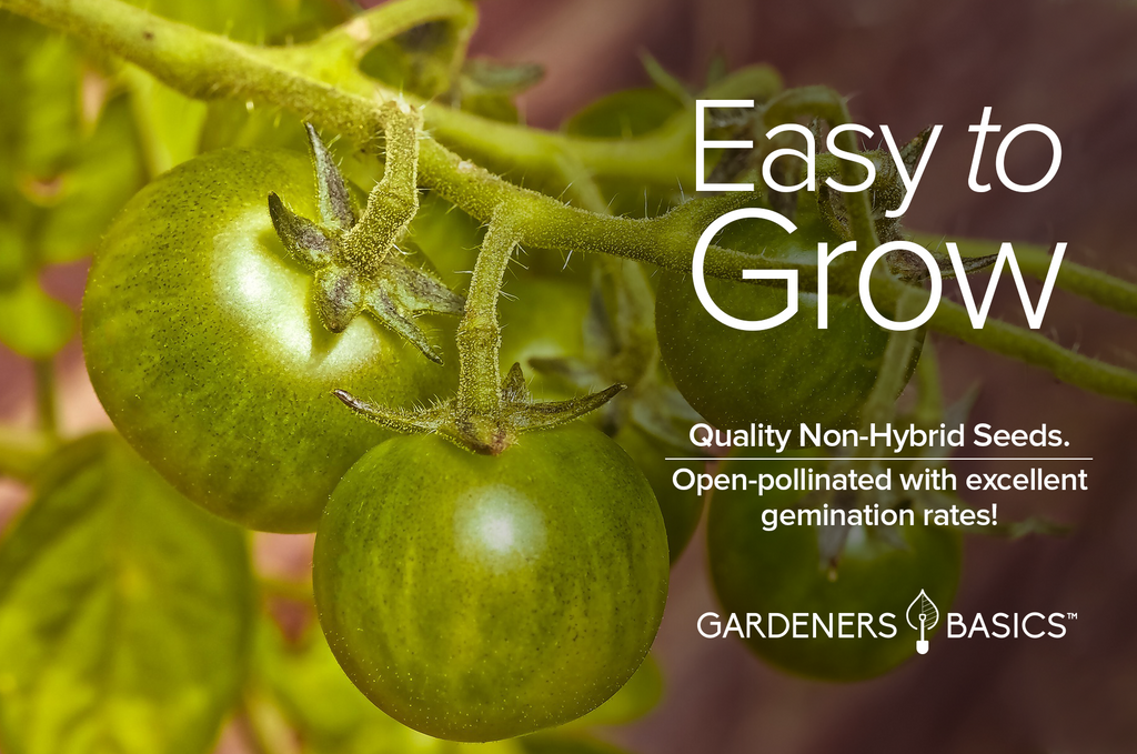 Plant the Taste Sensation of Green Zebra Tomatoes with Our Superior Seeds