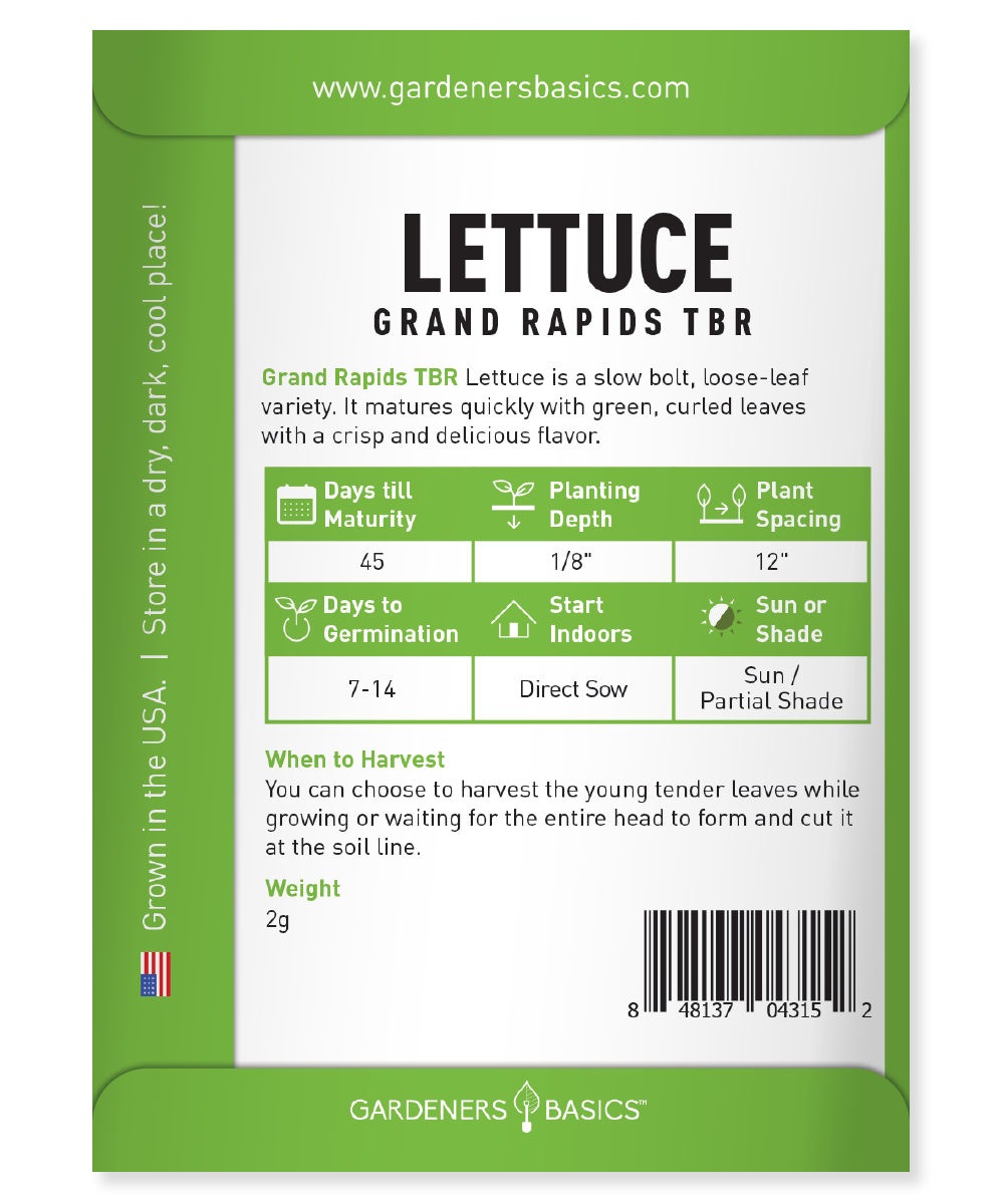 Disease-Resistant Grand Rapids TBR Lettuce Seeds for Robust Growth