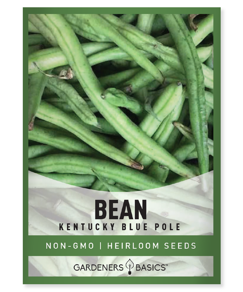 Kentucky Blue Pole Bean Seeds Vertical Gardening Non-GMO Beans High-Yielding Beans Green Bean Seeds for Planting Heirloom-Quality Seeds Nutrient-Packed Beans Easy-to-Grow Beans Home Gardening Garden Seed Packets Healthy Homegrown Produce Bean Seeds for Sale Exceptional Flavor Nutritional Benefits Fast-Growing Beans Gardening Supplies Space-Saving Garden Climbing Bean Varieties Organic Gardening Garden Planting Ideas