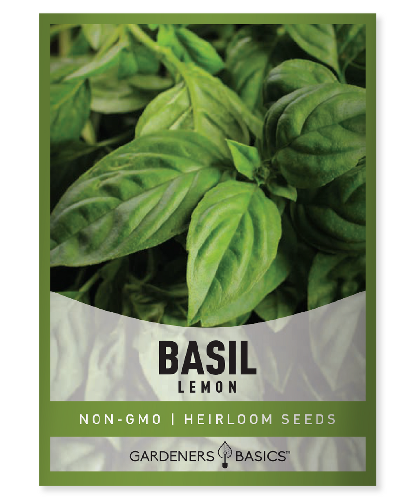 Lemon Basil Seeds, Germination, Growing, Harvesting, Zesty Flavor, Aromatic, Garden, Culinary, Full Sun, Well-Draining Soil, Seedlings, Flower Buds, Fresh, Versatile Herb, Salads, Seafood, Poultry, Pasta, Rice, Caprese Salad, Pesto, Marinades, Salad Dressings, Infused Water, Cocktails