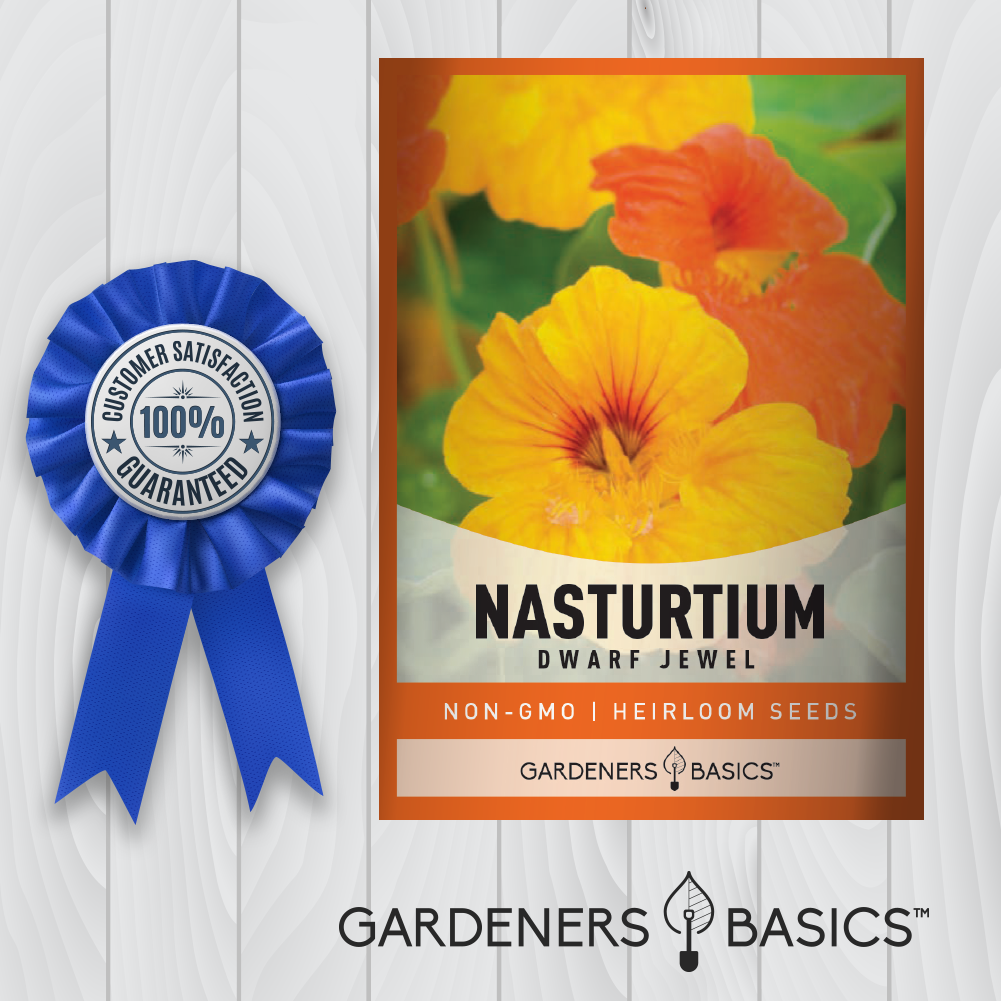 Create a Buzz in Your Garden with Bumble Bee-Friendly Nasturtium Jewel Mix