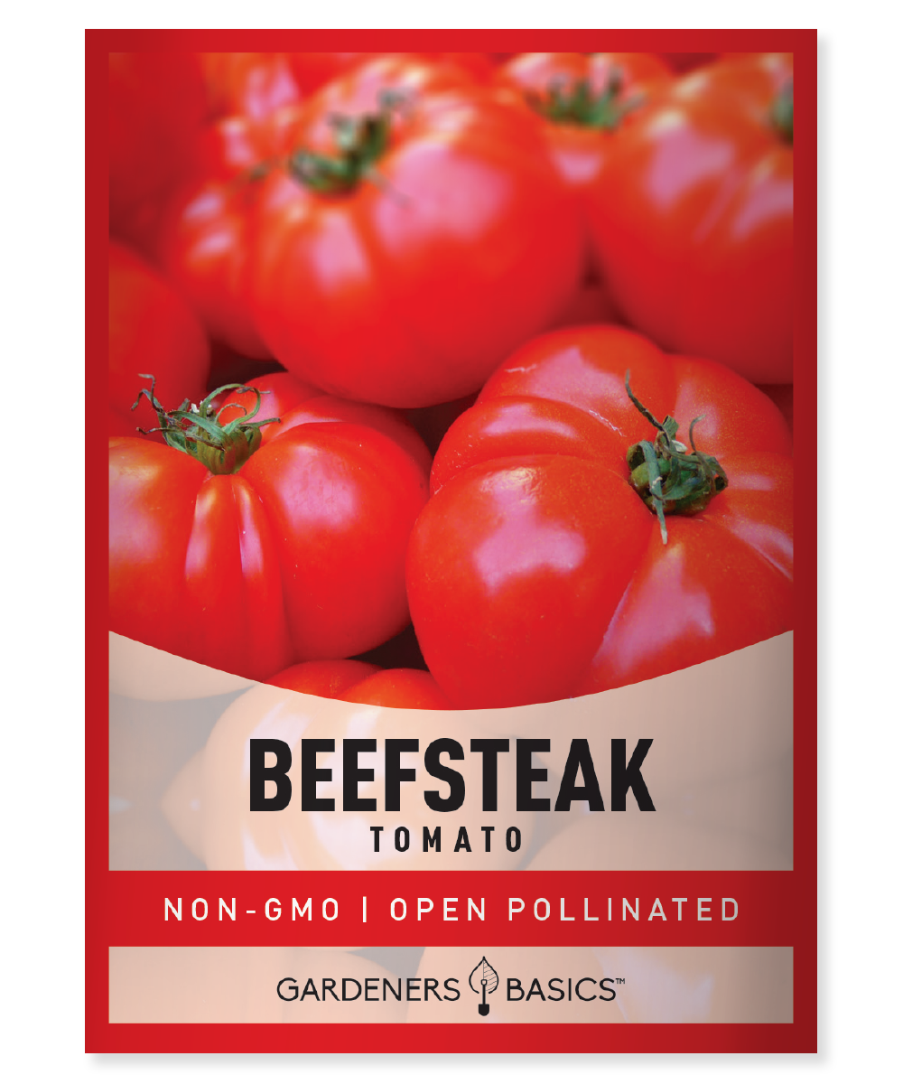 Beefsteak Tomato Seeds Grow Huge, Flavorful Tomatoes at Home