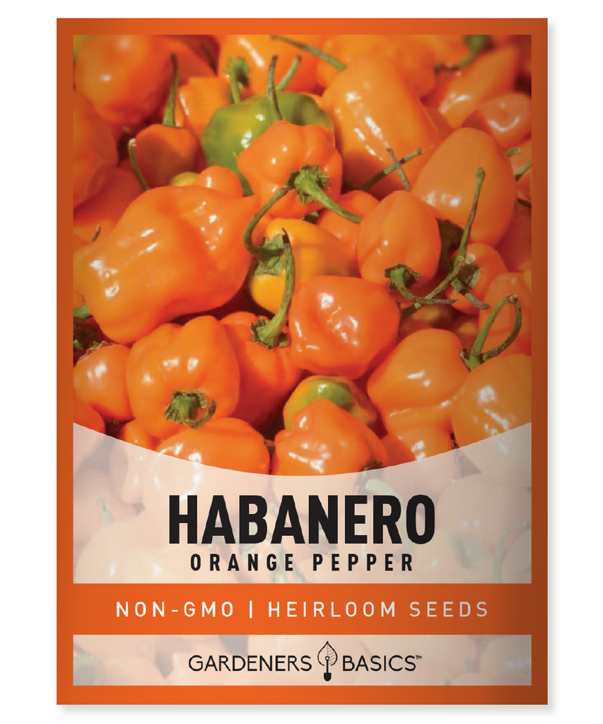 Orange Habanero Pepper Seeds For Planting Non-GMO Seeds For Home Vegetable Garden
