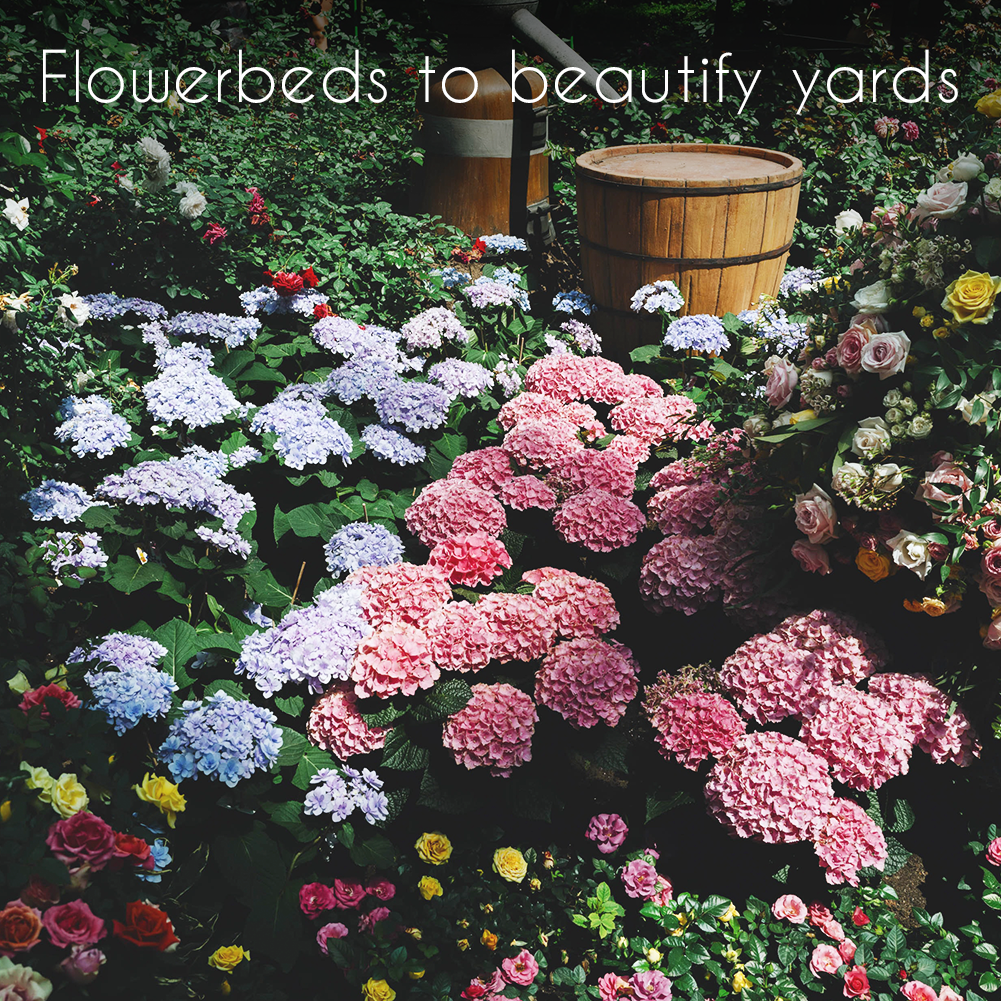 High-Quality 35 Flower Seed Collection: Perfect for Garden Beds, Borders & Containers