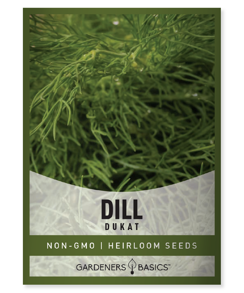 Dukat Dill Seeds Dill Seeds for Planting Organic Dill Seeds Non-GMO Dill Seeds Home Garden Aromatic Dill Flavorful Dill Culinary Herb Health Benefits Easy-to-Grow High-Yield Dill Plants Fresh Dill Dill for Cooking Gardening Tips Annual Herb Immune System Boost Fragrant Dill Soil pH Compost Drought-Tolerant
