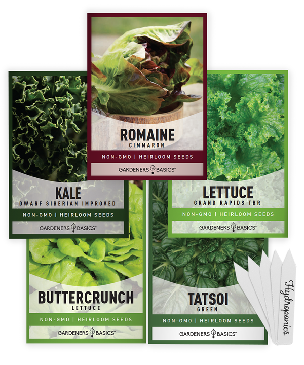 Hydroponic Seeds For Planting | 5 High-Quality Varieties
