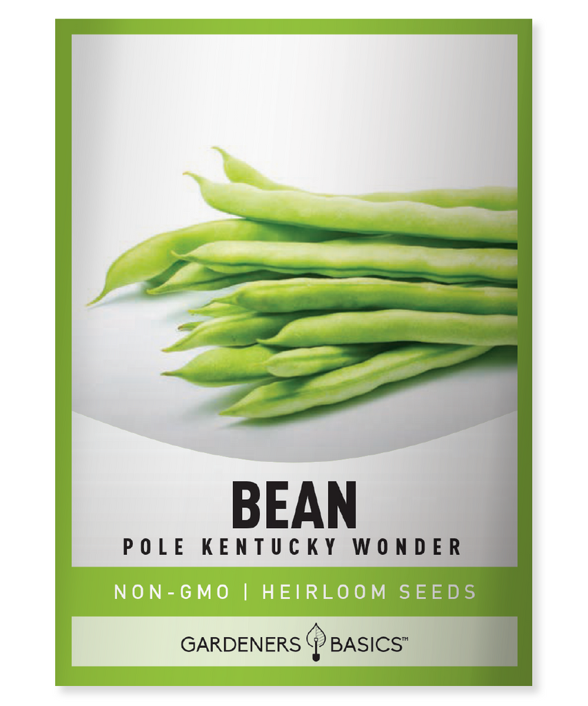 Kentucky Wonder Pole Bean Seeds Organic Green Beans Heirloom Bean Seeds Non-GMO Seeds for Planting High-Yield Green Beans Easy-to-Grow Bean Variety Sustainable Gardening Organic Gardening Homegrown Green Beans Bean Seeds for Planting Pole Bean Seeds Green Bean Seeds Kentucky Wonder Beans Heirloom Pole Beans Organic Bean Seeds Non-GMO Bean Seeds Garden Fresh Green Beans Bountiful Harvests Nutritious Green Beans Flavorful Bean Variety