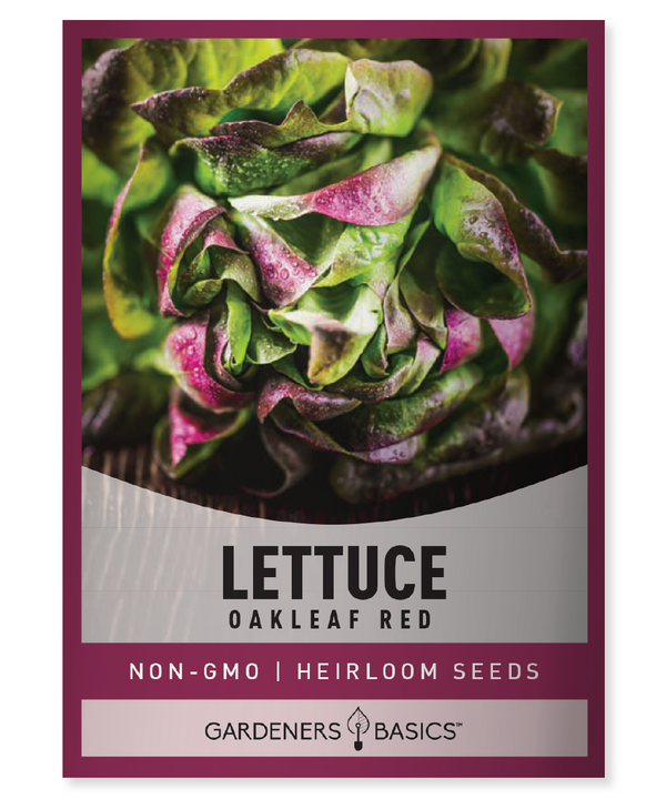 Red Oakleaf Lettuce Seeds