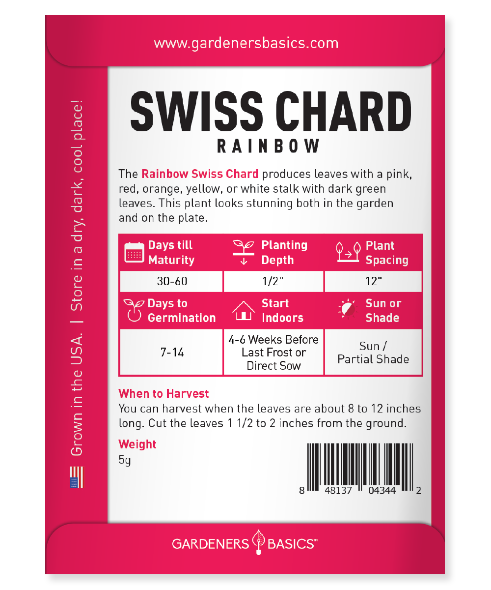 Plant and Harvest Beautiful Rainbow Swiss Chard in Your Garden