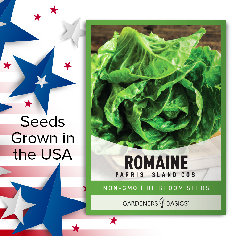 Parris Island Cos romaine lettuce seeds grown and packaged in the USA