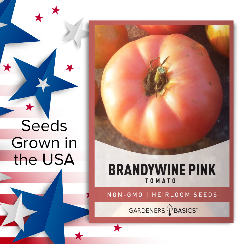 Brandywine Pink Tomato Seeds For Planting Heirloom Non-GMO Seeds For Home Vegetable Garden USA