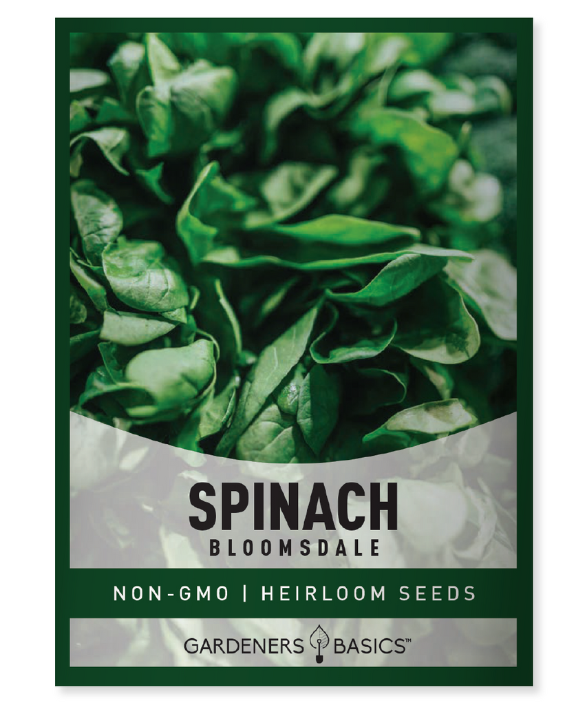 Bloomsdale Spinach Seeds Non-GMO Heirloom Seeds For Home Garden Vegetables