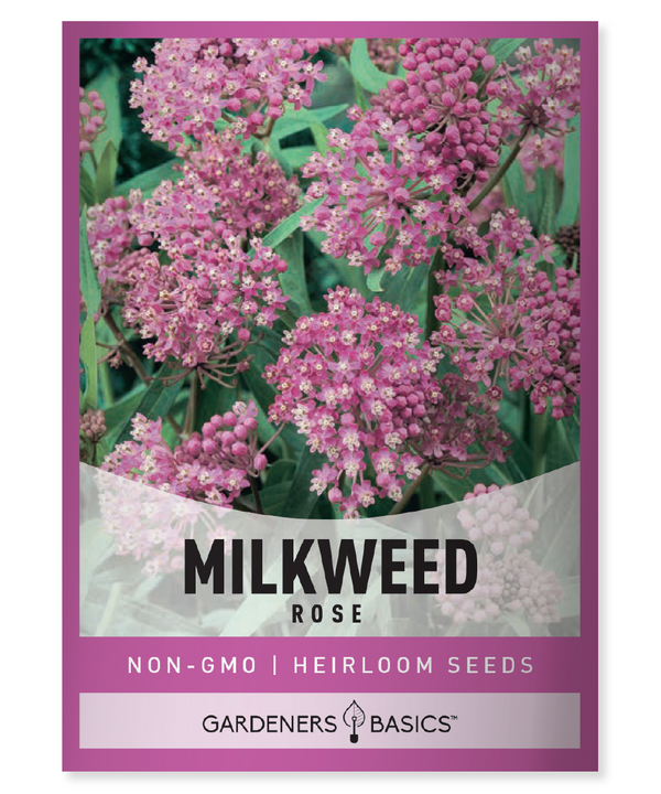 Rose (Swamp) Milkweed Seeds