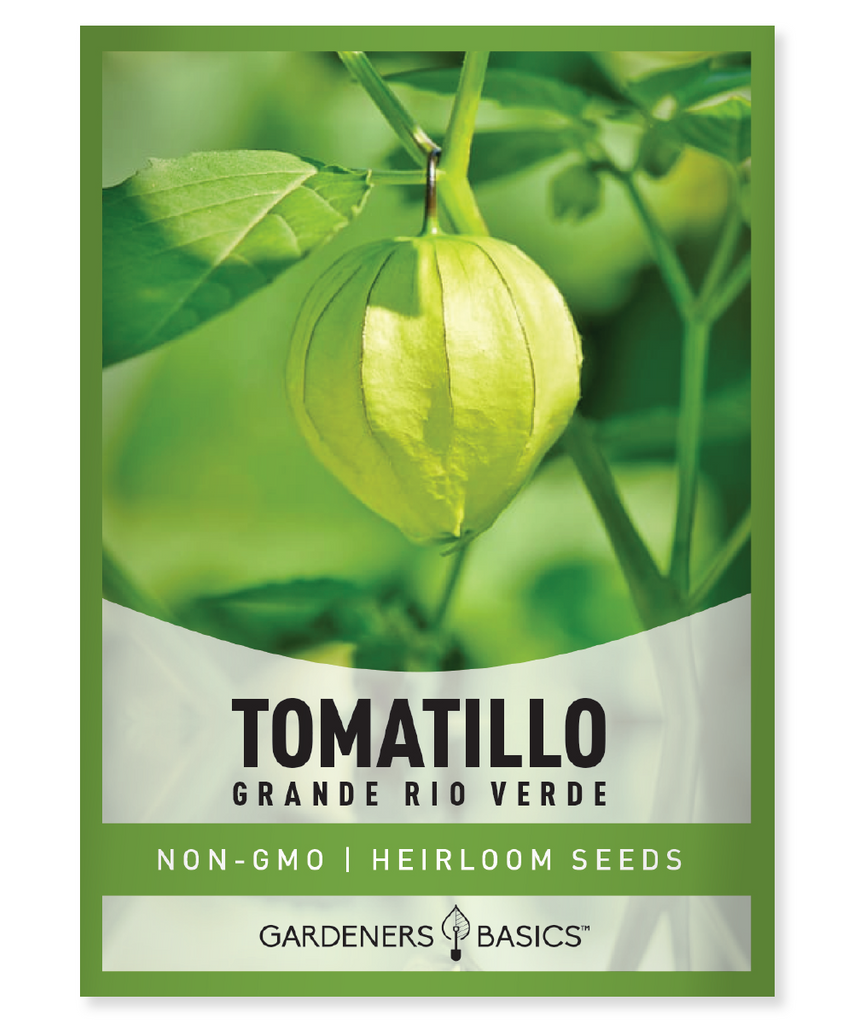 Grande Rio Verde Tomatillo Seeds For Planting Non-GMO Tomato Seeds For Home Vegetable Garden