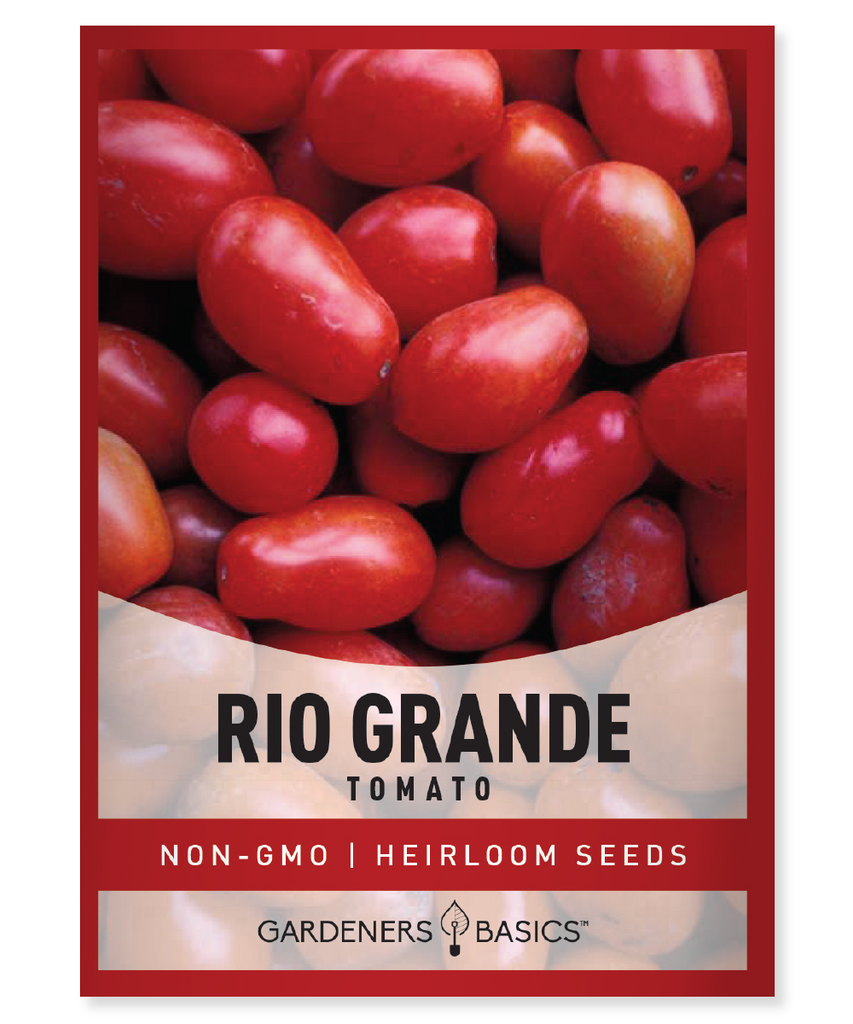 Rio Grande Tomato Seeds For Planting Heirloom Non-GMO Seeds For Home Garden Vegetables