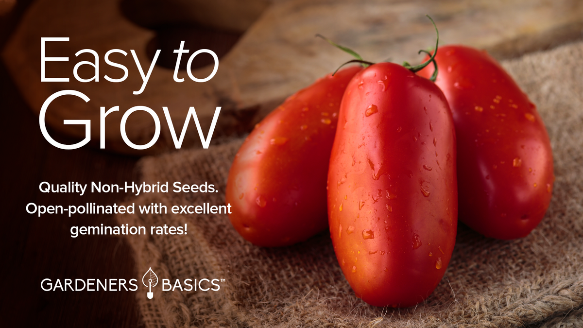 San Marzano Tomato Seeds For Planting Non-GMO Seeds For Home Vegetable Garden Easy To Grow