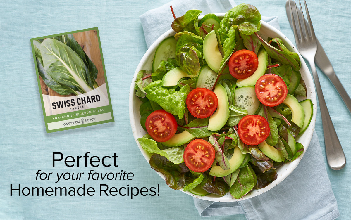 Boost Your Garden's Appeal with Stunning Barese Swiss Chard