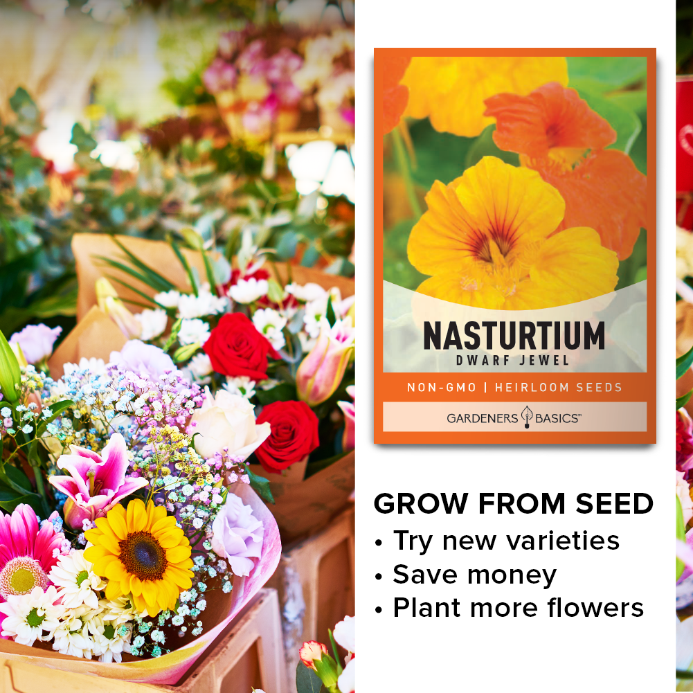 Nasturtium Jewel Mix Seeds: Add Color, Flavor, and Pollinators to Your Garden