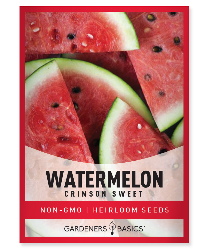 Crimson Sweet Watermelon Seeds For Planting Non-GMO Seeds For Home Fruit Garden