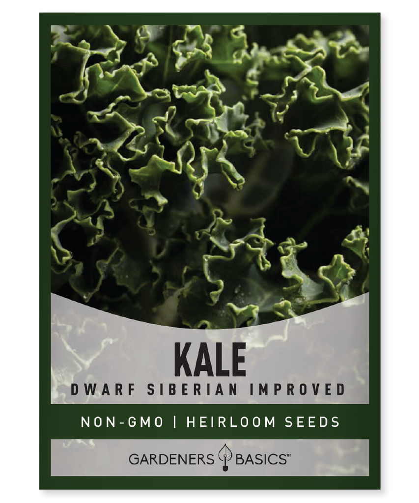 Dwarf Siberian Improved Kale Seeds Kale Seeds for Planting Nutrient-Rich Superfood Hardy Kale Variety Easy-to-Grow Kale Non-GMO Kale Seeds Compact Kale Growth Cold-Tolerant Kale Organic Gardening Homegrown Superfood Container Planting Small Space Gardening Kale Health Benefits Kale Recipes Leafy Green Vegetable