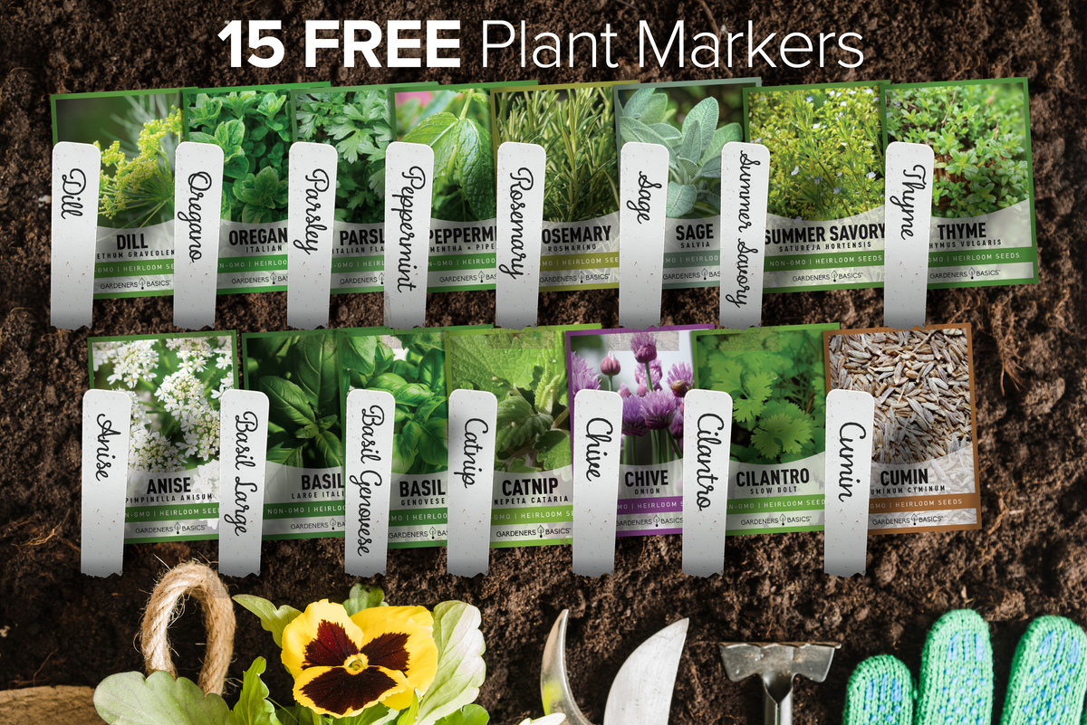 Herb Seeds Variety Pack Non-GMO Seeds For Home Herb Garden Indoor Herb Garden Heirloom Herb Seeds Free Bonus Plant Markers