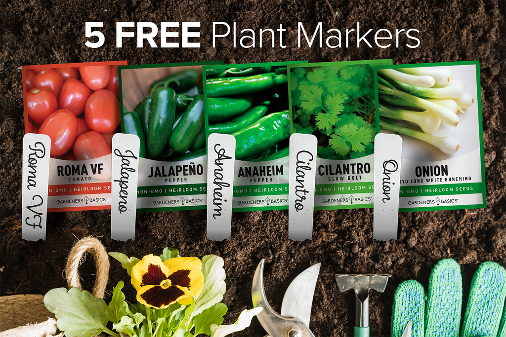 Salsa Seeds For Planting Variety Pack Non-GMO Seeds For Home Salsa Garden Free Plant Markers