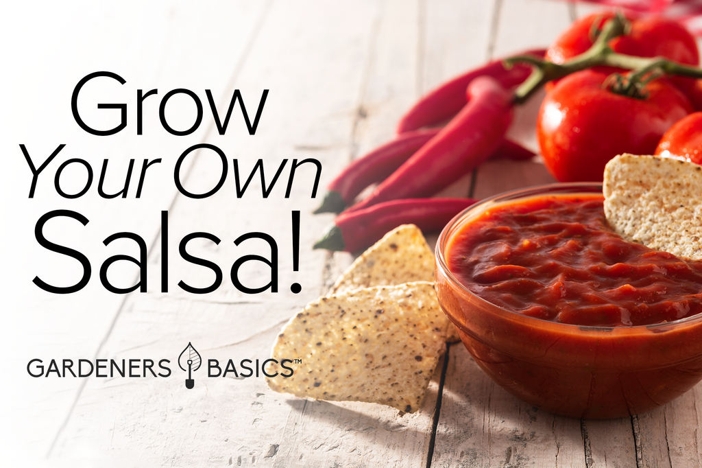 Salsa Seeds For Planting Variety Pack Non-GMO Seeds For Home Salsa Garden Grow Your Own Salsa